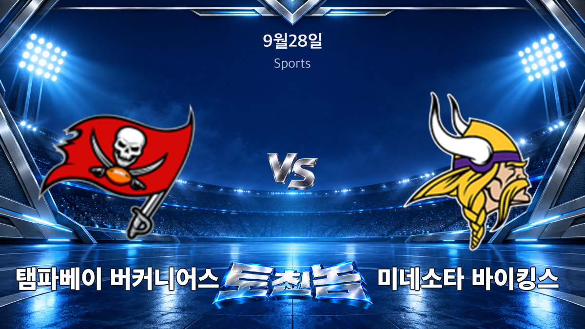 미네소타 바이킹스 미식축구